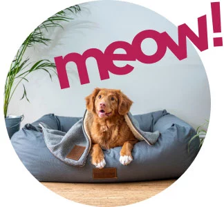 อร่อยสัตว์ โซจู เพ็ท ช็อป