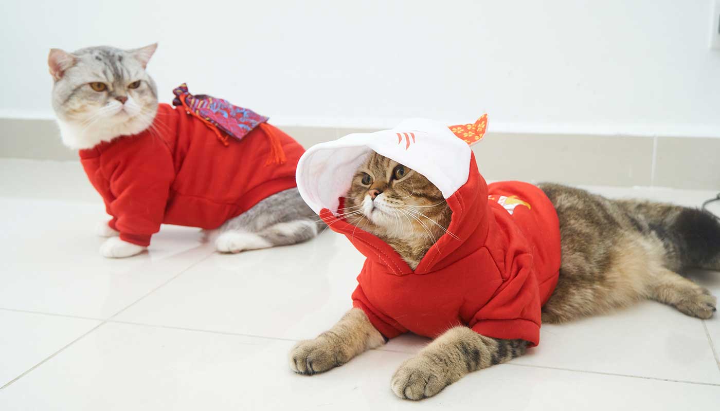 อร่อยสัตว์ โซจู เพ็ท ช็อป