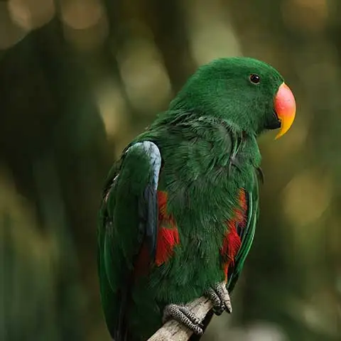 อร่อยสัตว์ โซจู เพ็ท ช็อป