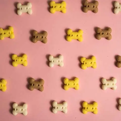 อร่อยสัตว์ โซจู เพ็ท ช็อป