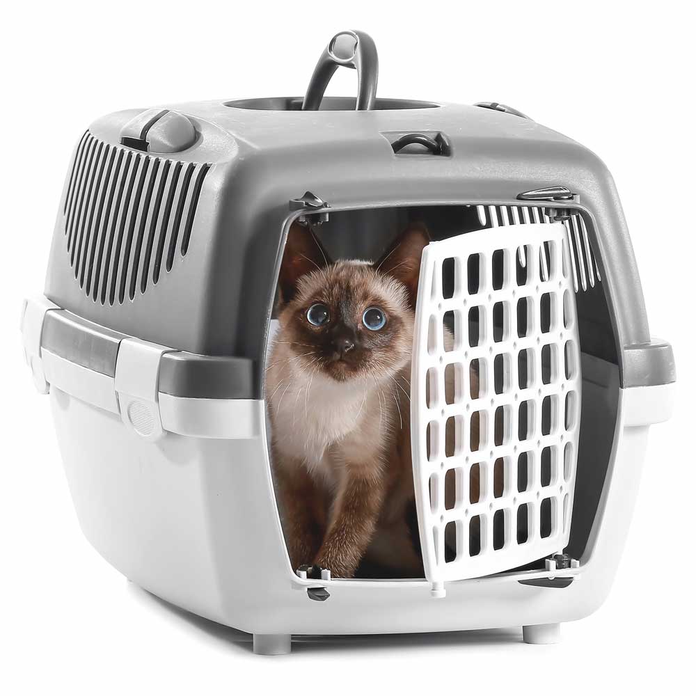 So Phresh Geometric Covered Cat Litter Box